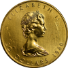 Canadian Gold Maple Leaf 1 oz Scruffy
